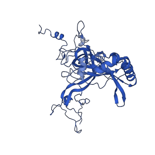 10674_6y2l_LB_v1-0
Structure of human ribosome in POST state