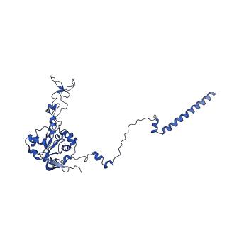 10674_6y2l_LC_v1-0
Structure of human ribosome in POST state