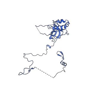 10674_6y2l_LE_v1-0
Structure of human ribosome in POST state