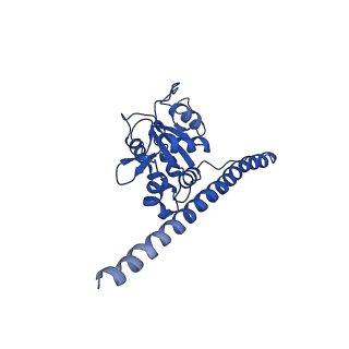 10674_6y2l_LF_v1-0
Structure of human ribosome in POST state
