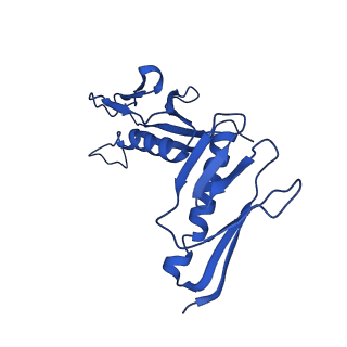 10674_6y2l_LH_v1-0
Structure of human ribosome in POST state
