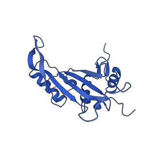 10674_6y2l_LJ_v1-0
Structure of human ribosome in POST state