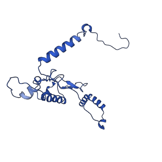 10674_6y2l_LL_v1-0
Structure of human ribosome in POST state