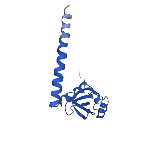 10674_6y2l_LM_v1-0
Structure of human ribosome in POST state