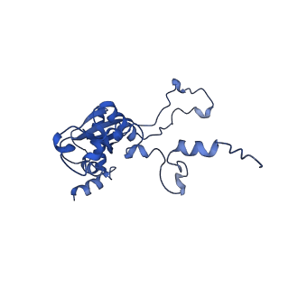 10674_6y2l_LN_v1-0
Structure of human ribosome in POST state