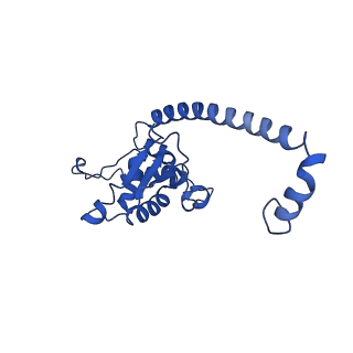 10674_6y2l_LO_v1-0
Structure of human ribosome in POST state