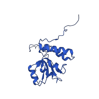 10674_6y2l_LQ_v1-0
Structure of human ribosome in POST state