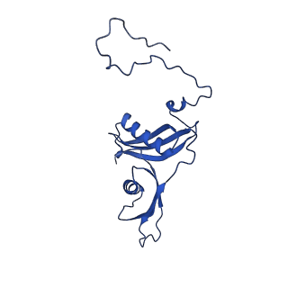 10674_6y2l_LS_v1-0
Structure of human ribosome in POST state
