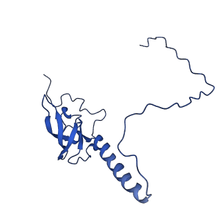 10674_6y2l_LT_v1-0
Structure of human ribosome in POST state