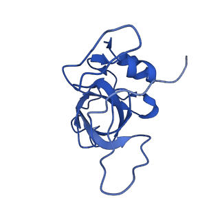 10674_6y2l_LV_v1-0
Structure of human ribosome in POST state