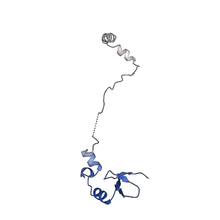 10674_6y2l_LW_v1-0
Structure of human ribosome in POST state