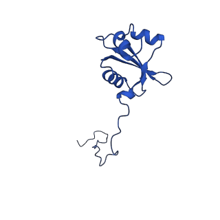 10674_6y2l_LX_v1-0
Structure of human ribosome in POST state