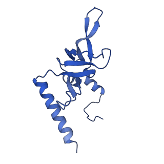 10674_6y2l_LY_v1-0
Structure of human ribosome in POST state