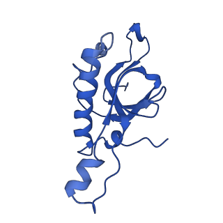 10674_6y2l_LZ_v1-0
Structure of human ribosome in POST state