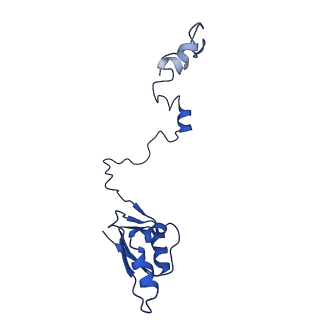10674_6y2l_La_v1-0
Structure of human ribosome in POST state