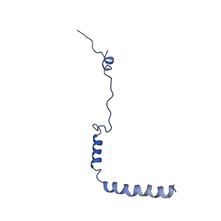 10674_6y2l_Lb_v1-0
Structure of human ribosome in POST state