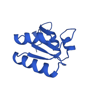 10674_6y2l_Lc_v1-0
Structure of human ribosome in POST state
