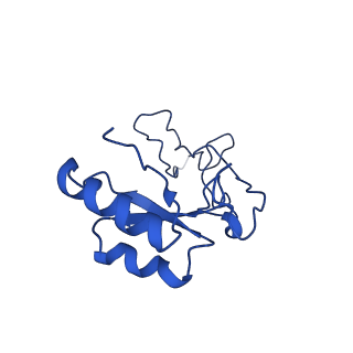 10674_6y2l_Le_v1-0
Structure of human ribosome in POST state