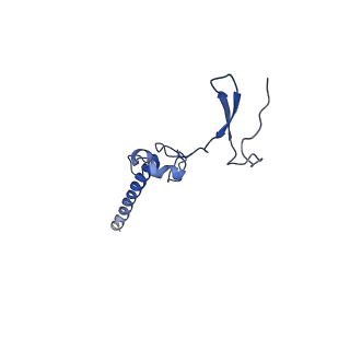 10674_6y2l_Lg_v1-0
Structure of human ribosome in POST state