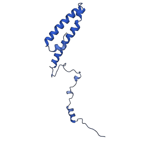 10674_6y2l_Lh_v1-0
Structure of human ribosome in POST state