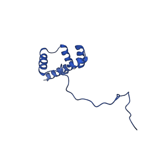 10674_6y2l_Li_v1-0
Structure of human ribosome in POST state