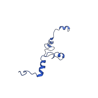 10674_6y2l_Lj_v1-0
Structure of human ribosome in POST state