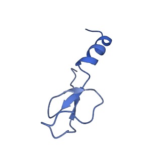 10674_6y2l_Lm_v1-0
Structure of human ribosome in POST state