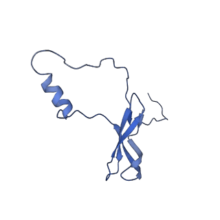 10674_6y2l_Lo_v1-0
Structure of human ribosome in POST state