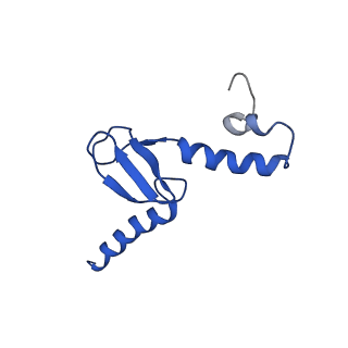 10674_6y2l_Lp_v1-0
Structure of human ribosome in POST state