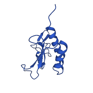 10674_6y2l_Lr_v1-0
Structure of human ribosome in POST state