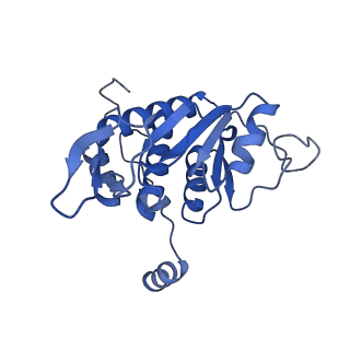 10674_6y2l_SA_v1-0
Structure of human ribosome in POST state