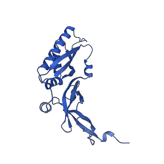 10674_6y2l_SB_v1-0
Structure of human ribosome in POST state