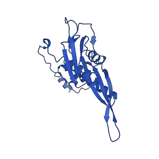 10674_6y2l_SC_v1-0
Structure of human ribosome in POST state