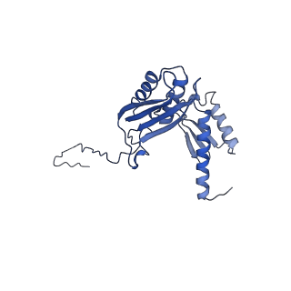 10674_6y2l_SD_v1-0
Structure of human ribosome in POST state