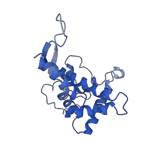 10674_6y2l_SF_v1-0
Structure of human ribosome in POST state
