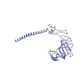 10674_6y2l_SG_v1-0
Structure of human ribosome in POST state