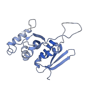 10674_6y2l_SH_v1-0
Structure of human ribosome in POST state