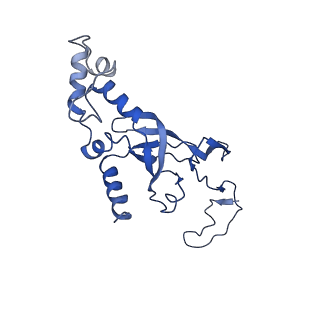 10674_6y2l_SI_v1-0
Structure of human ribosome in POST state