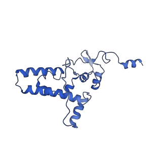 10674_6y2l_SJ_v1-0
Structure of human ribosome in POST state