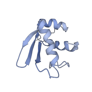 10674_6y2l_SK_v1-0
Structure of human ribosome in POST state
