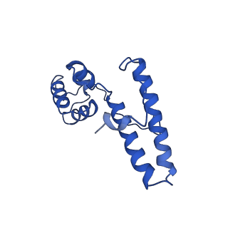 10674_6y2l_SN_v1-0
Structure of human ribosome in POST state