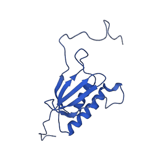 10674_6y2l_SO_v1-0
Structure of human ribosome in POST state