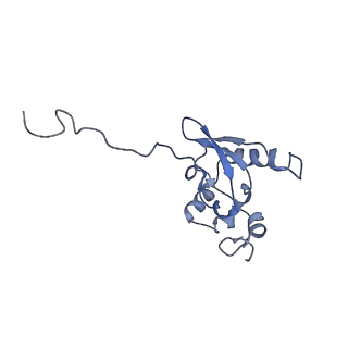 10674_6y2l_SP_v1-0
Structure of human ribosome in POST state