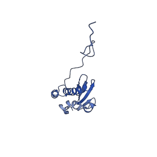 10674_6y2l_SQ_v1-0
Structure of human ribosome in POST state