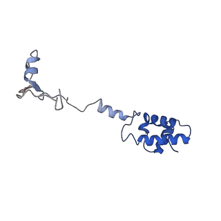 10674_6y2l_SR_v1-0
Structure of human ribosome in POST state