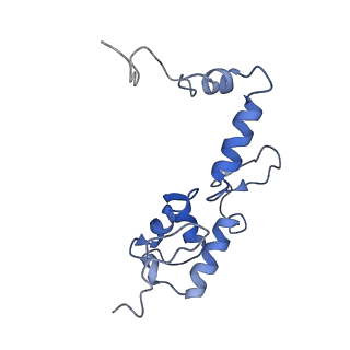 10674_6y2l_SS_v1-0
Structure of human ribosome in POST state