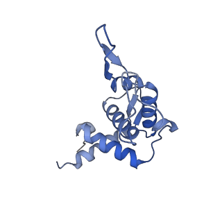 10674_6y2l_ST_v1-0
Structure of human ribosome in POST state