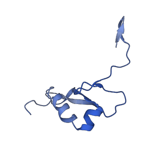 10674_6y2l_SV_v1-0
Structure of human ribosome in POST state