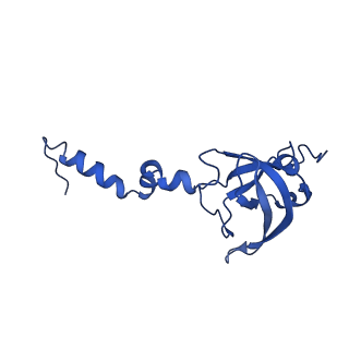 10674_6y2l_SX_v1-0
Structure of human ribosome in POST state