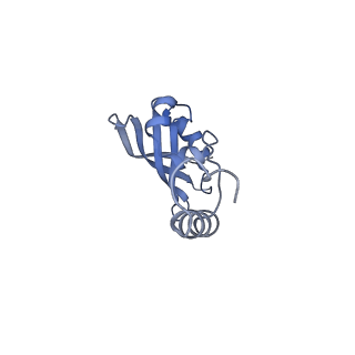 10674_6y2l_SY_v1-0
Structure of human ribosome in POST state